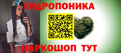 кокс Малгобек