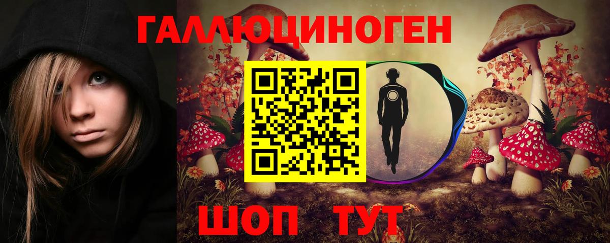 Киржач  Галлюциногенные грибы Psilocybe  Вход с VPN 